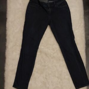 LOFT Blue Skinny Jeans Classic Style